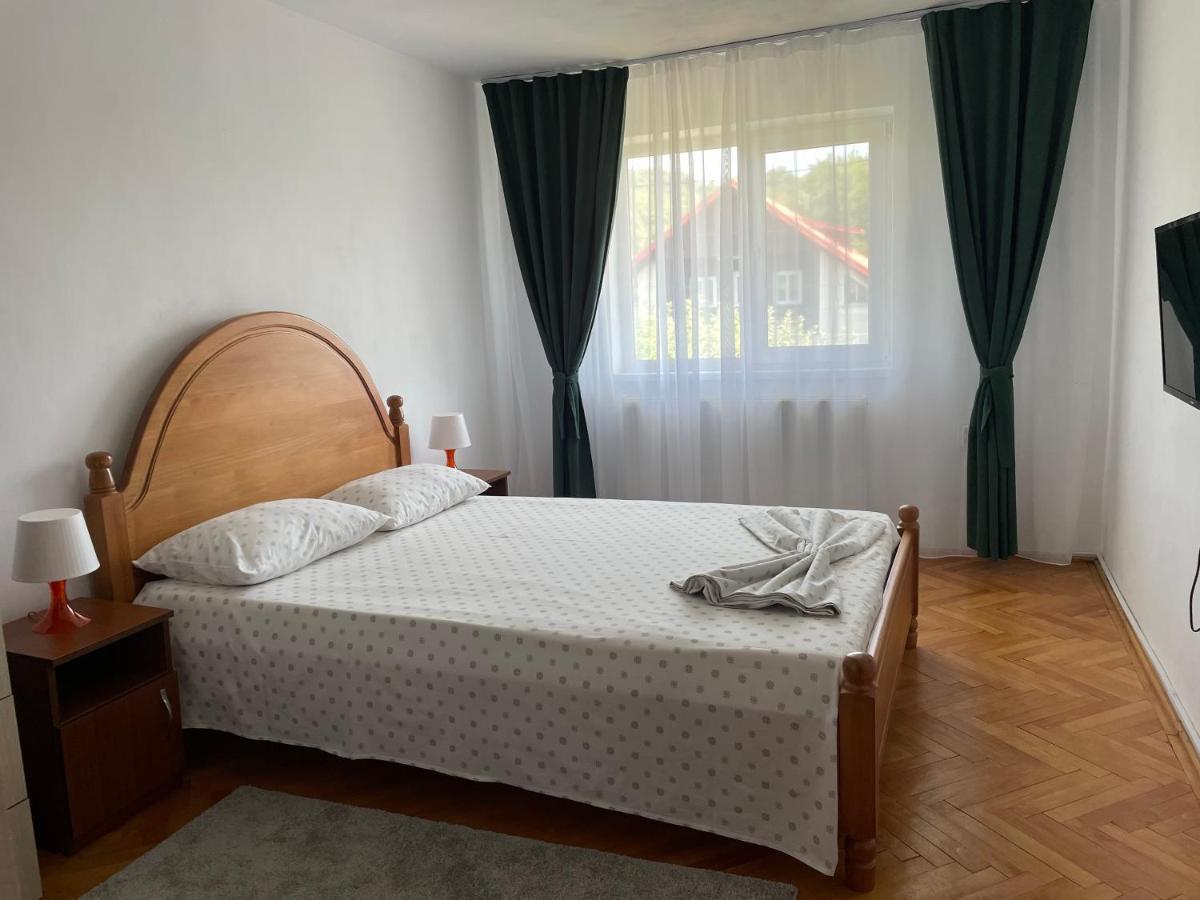 Cazare Vila Maria Apartment Curtea De Arges Exterior photo